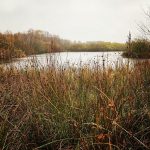 instagram_bushcraft_alli_6