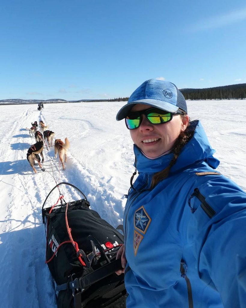 husky mushing - Swedish lapland